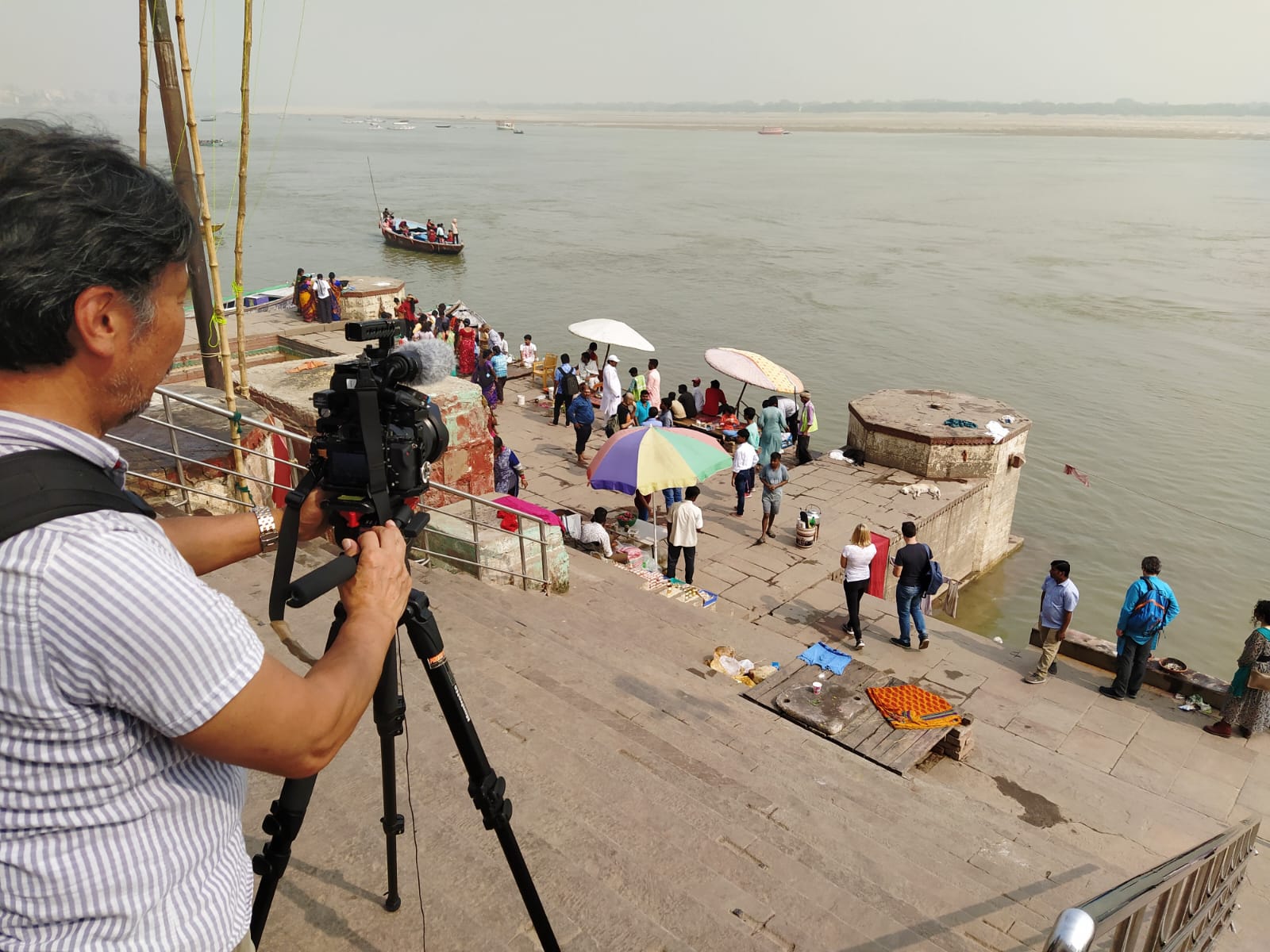 インドロケ　コーディネーター